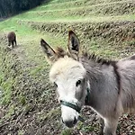 Il Cerro