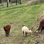 Il Cerro Hébergement de vacances