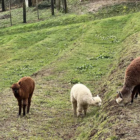 Il Cerro Hébergement de vacances